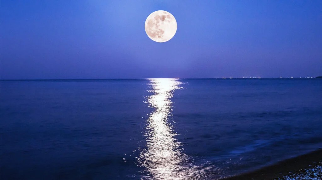How To Do A Full Moon Tarot Spread?