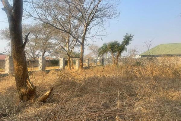 “Here Is What I Did To Win A Complicated Land Case” 57 Year Old Faith Mwanza Tells