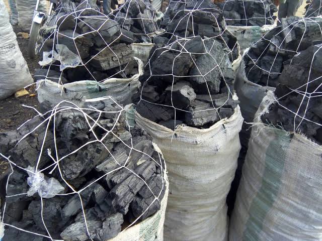 From Being A Charcoal Seller To Becoming A Millionare, Sebastian Shares With The World His Secret To Success From Being A Charcoal Seller To Becoming A Millionare, Sebastian Shares With The World His Secret To Success