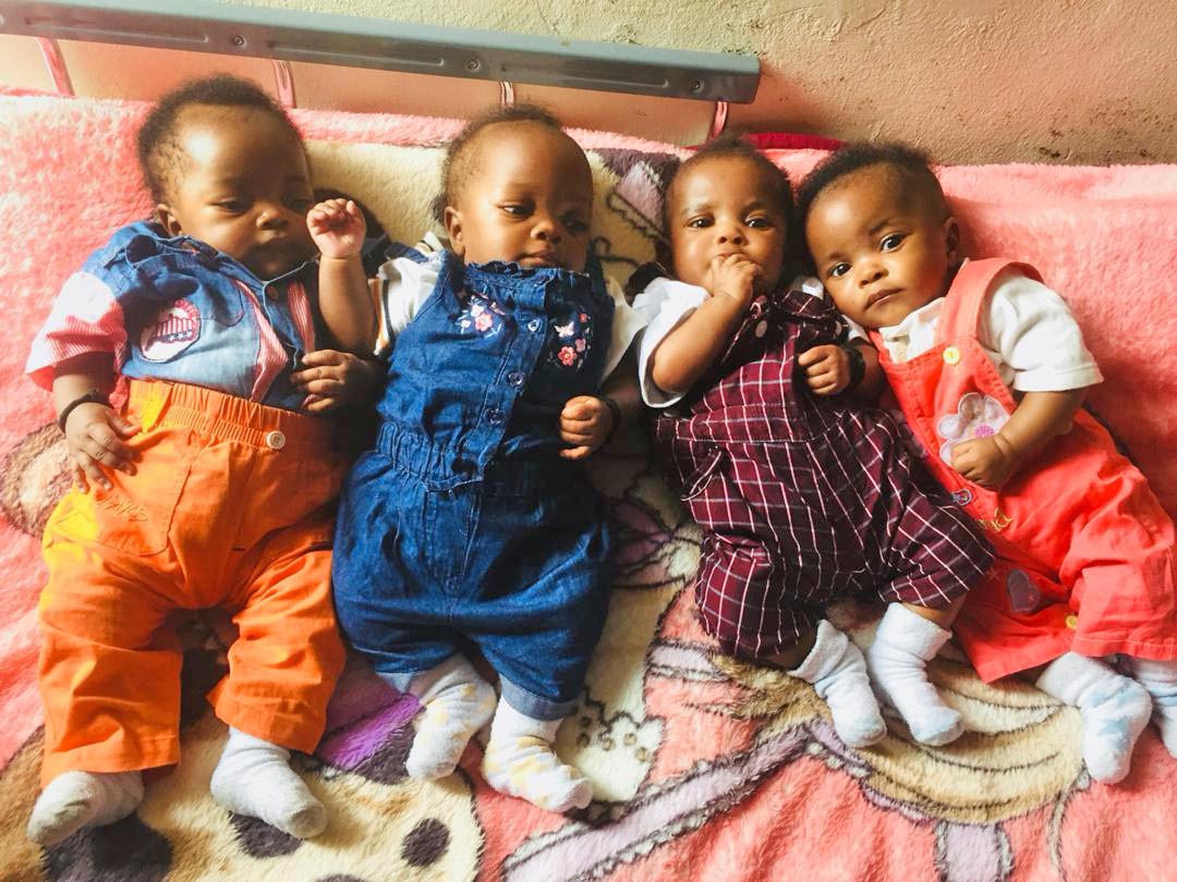 Shock in Chongwe as 79-year-old woman delivers quadruplets after drinking herbal tea Shock in Chongwe as 79-year-old woman delivers quadruplets after drinking herbal tea