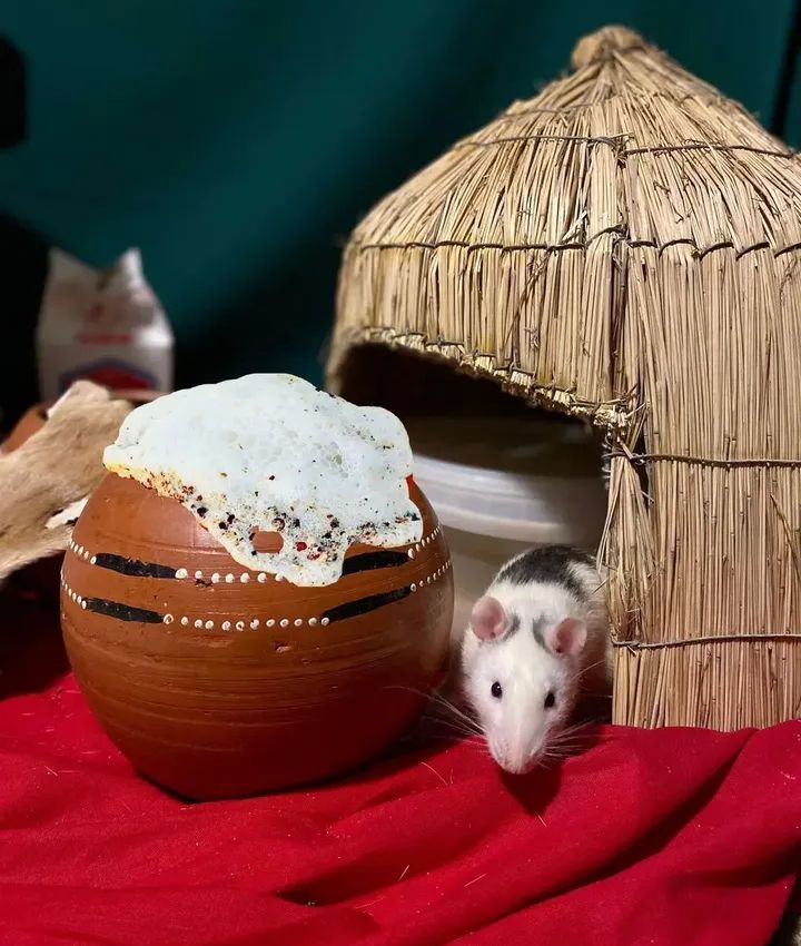 Family Finds a Dirty Cooking Pot Inside Their Sitting Room Every Morning, The Mystery of It Shocked Them.