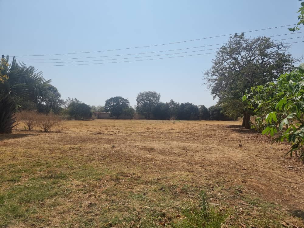 My Traditional Land in Lilayi Was Stolen and Sold But I Reclaimed It Without Going to Court.