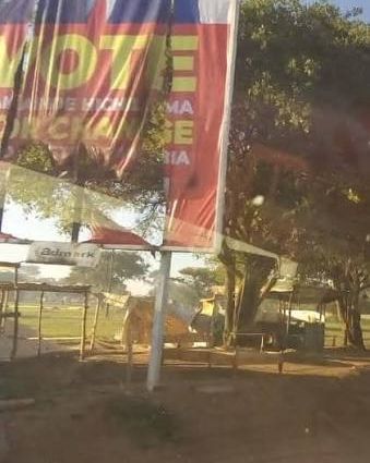 Politician in Mazabuka Burns Rival’s Posters Then Wakes Up to His Compound Covered in Thick Black Bees. Politician in Mazabuka Burns Rival’s Posters Then Wakes Up to His Compound Covered in Thick Black Bees.
